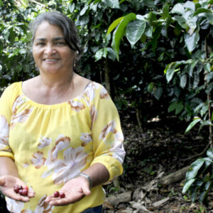 コロンビア　スプレモ