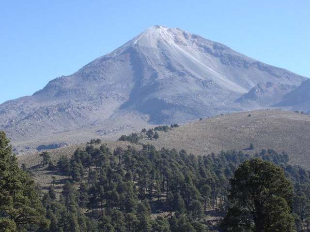 メキシコ デカフェ(カフェインレス) - 画像 (3)