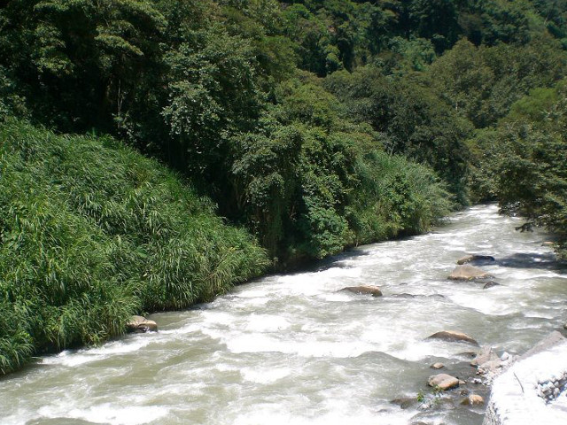 メキシコ デカフェ(カフェインレス) - 画像 (2)