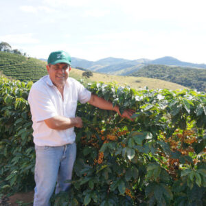 ブラジル  シティオ・ダ・トーレ イエローブルボン